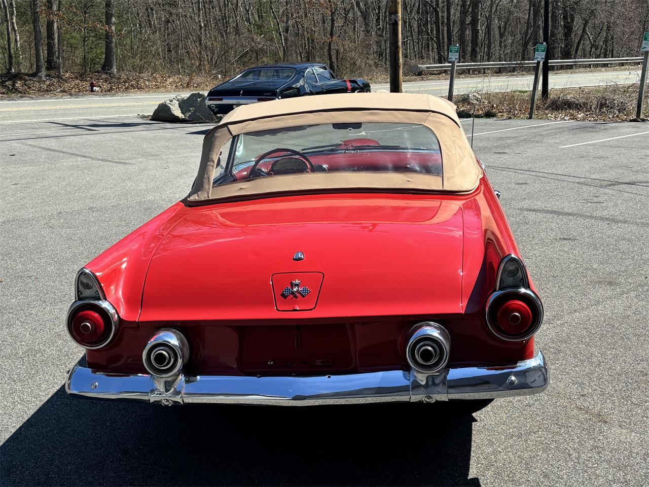 1955 ford thunderbird