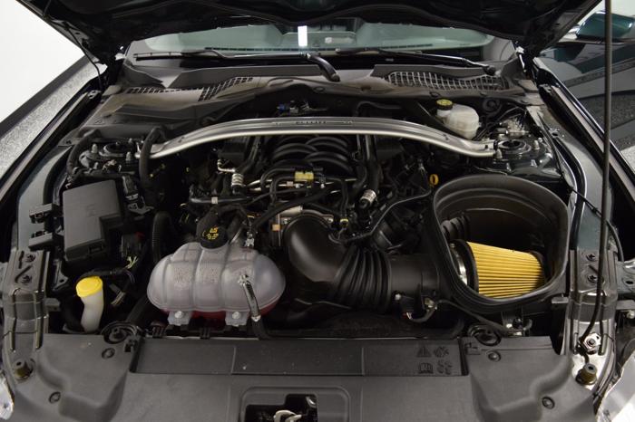 used 2019 ford mustang bullitt coupe shawnee, ks 66226 for sale in shawnee mission, kansas