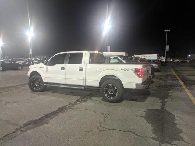2013 ford f-150 xlt 4x4 xlt 4dr supercrew styleside 5.5 ft. sb for sale in blades, delaware