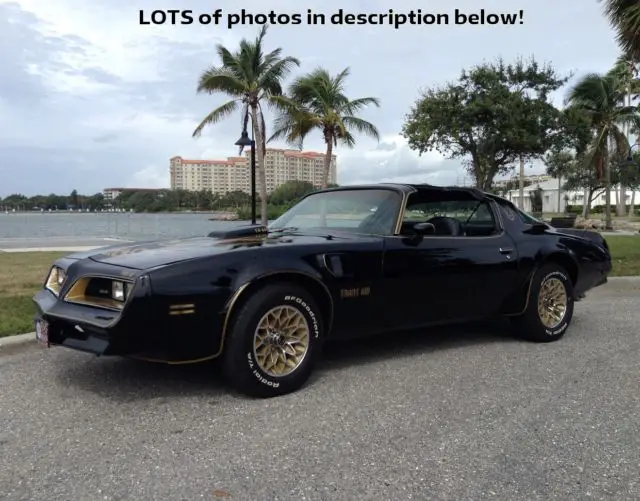 1976 pontiac trans am - very sharp!! 1977 t/a front end. bandit!!