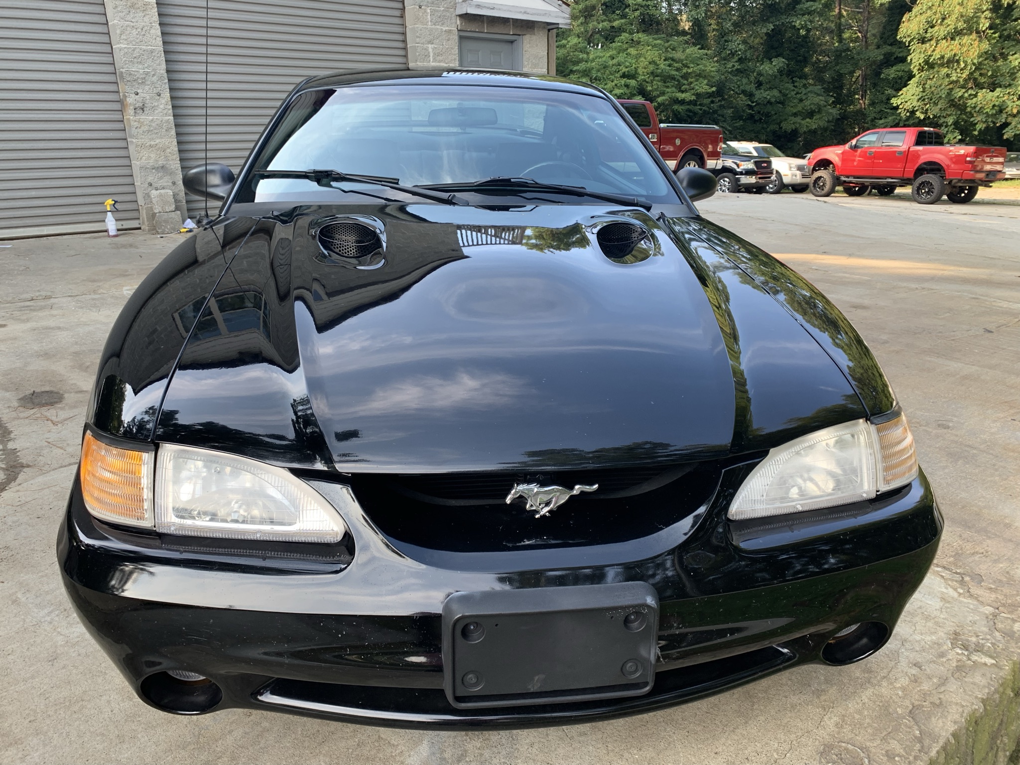 1997 ford mustang svt cobra