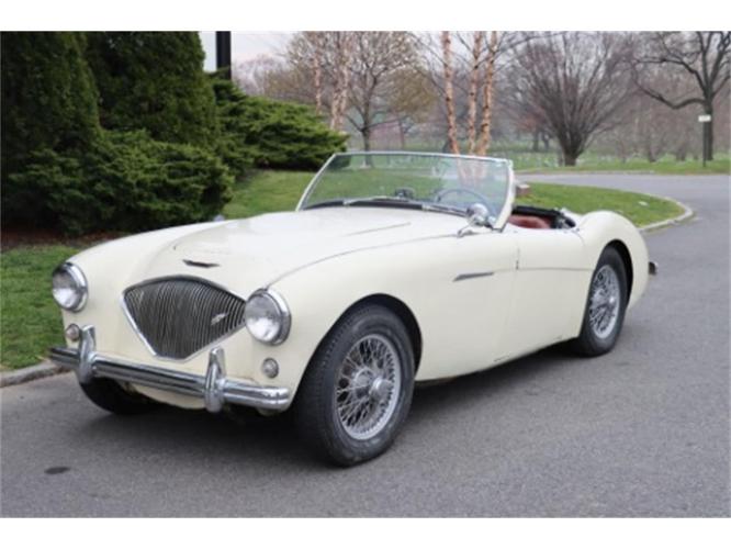 1955 austin-healey 100-4 in astoria, new york