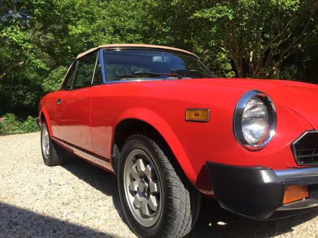 fiat spider 2000 clean survivor