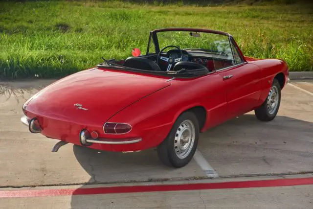 1967 alfa romeo spider duetto 1600 for sale classic italian sports car rare red