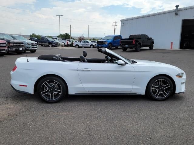 2019 ford mustang ecoboost premium