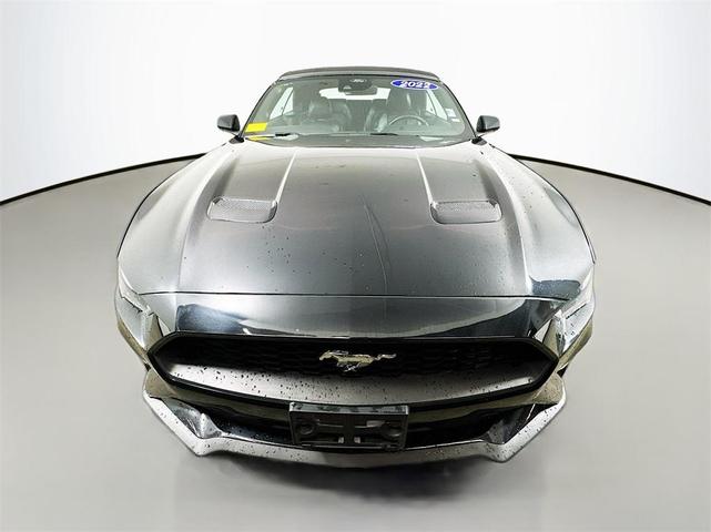 2022 ford mustang ecoboost