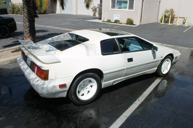 1988 lotus esprit commemorative edition