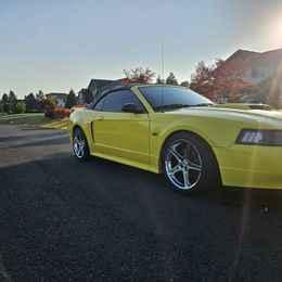 2001 ford mustang gt