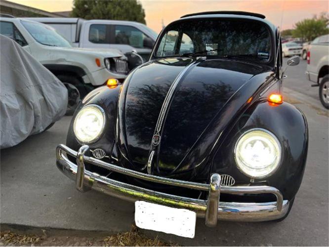 1967 volkswagen beetle in cadillac, michigan