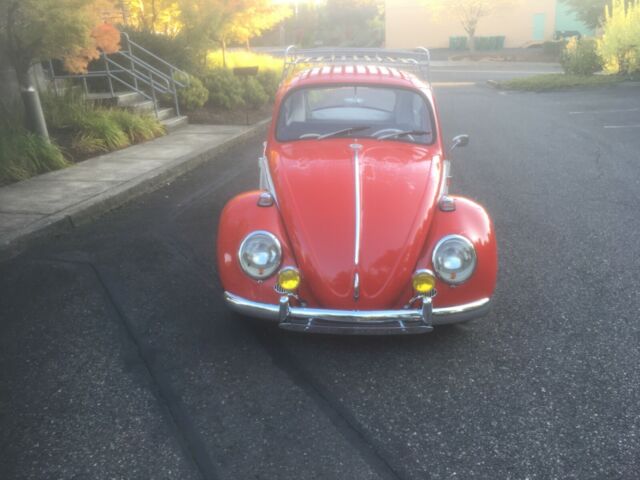 1965 vw volkswagen factory sunroof beetle - bug (43,000 actual miles)