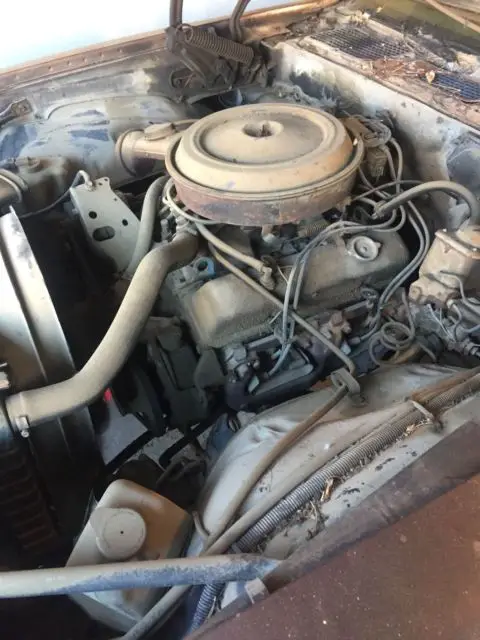 1977 chevrolet camaro 77 chevy barn find