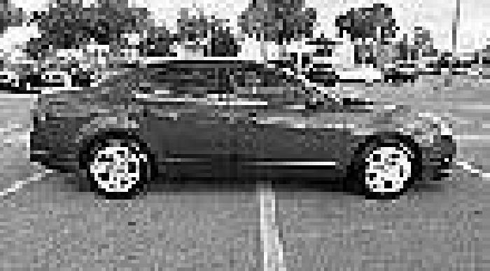 ford 2011 fusion in tampa, fl