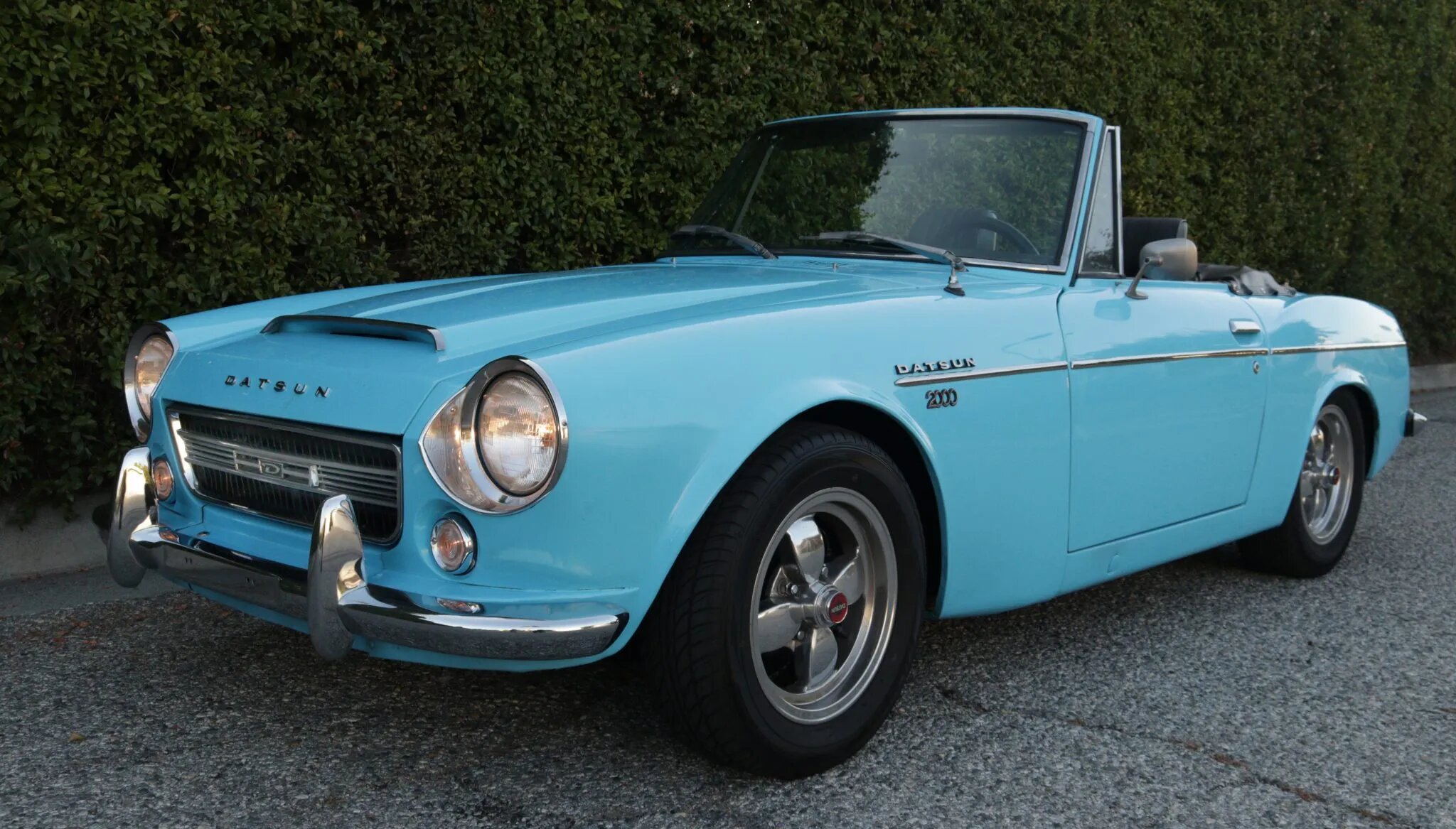 datsun 1600
