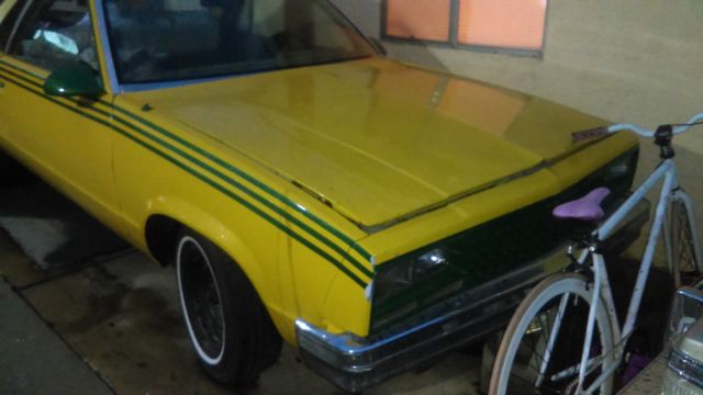 79 el camino needs papers