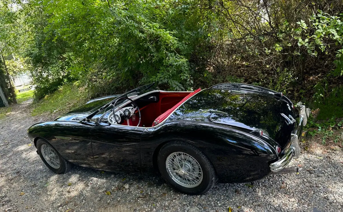 austin healey 100-4 mint all original