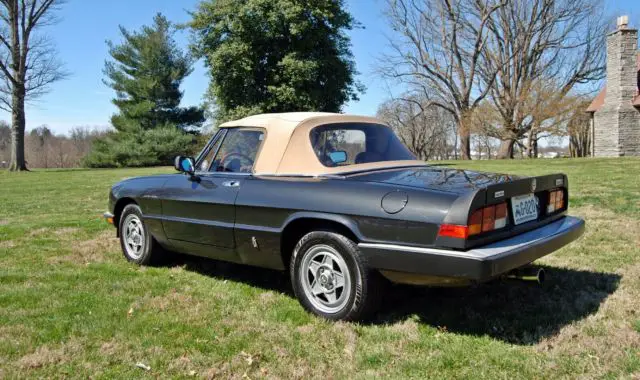 nr - 1983 alfa romeo spider 2.0 limited edition- ready for a spring drive