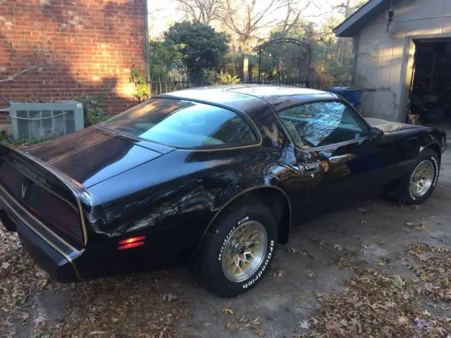 1981 pontiac trans am factory y84 special edition - 455