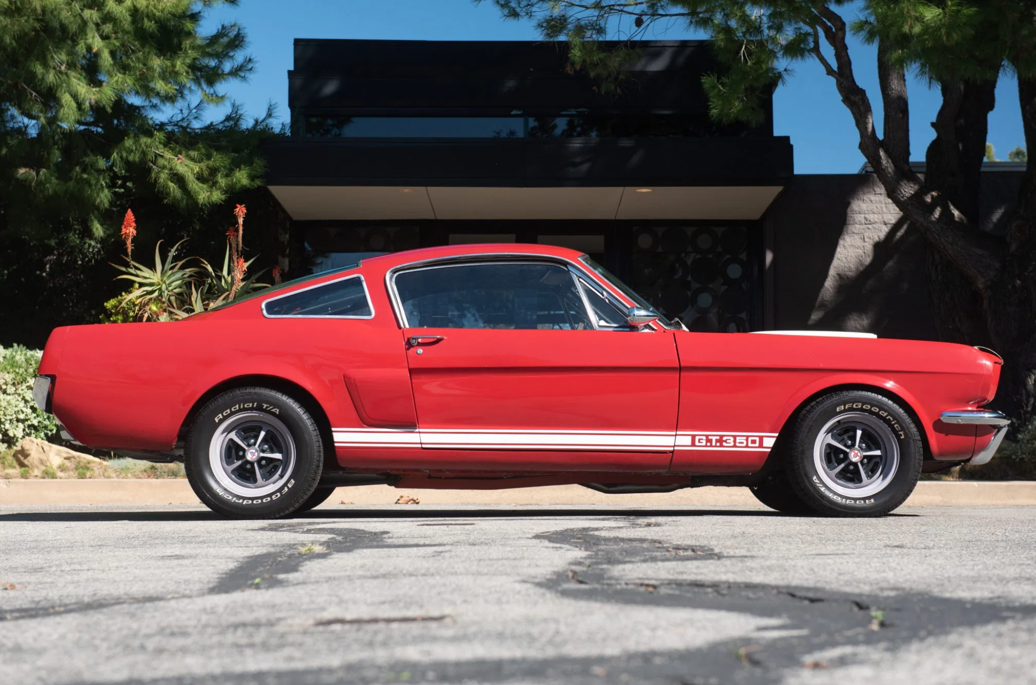 1966 ford mustang shelby gt350 coupe