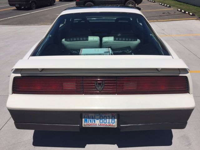 1983 pontiac trans am daytona 500 recaro pace car
