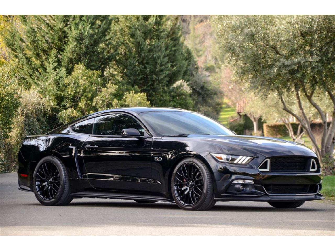 2015 ford mustang