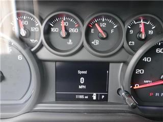 2023 Chevrolet Silverado 1500 work truck
