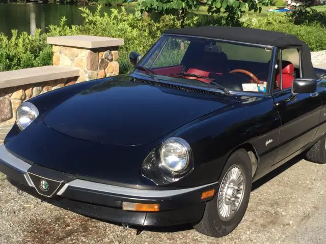 alpha romeo spider graduate edition 1988