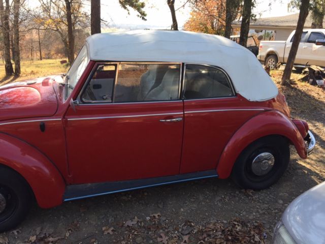 1969 volkswagon beetle convertible