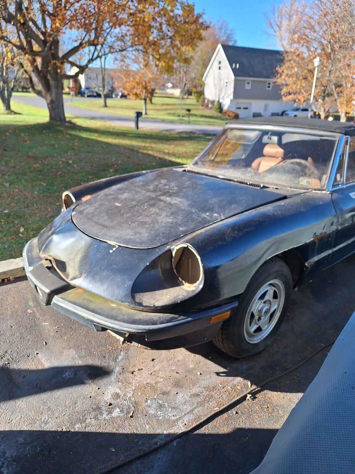 1988 alfa romeo spider veloce