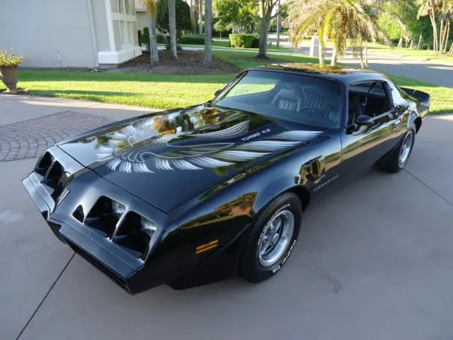 1980 pontiac turbo trans am beautiful excellent condition what a beauty ! nice