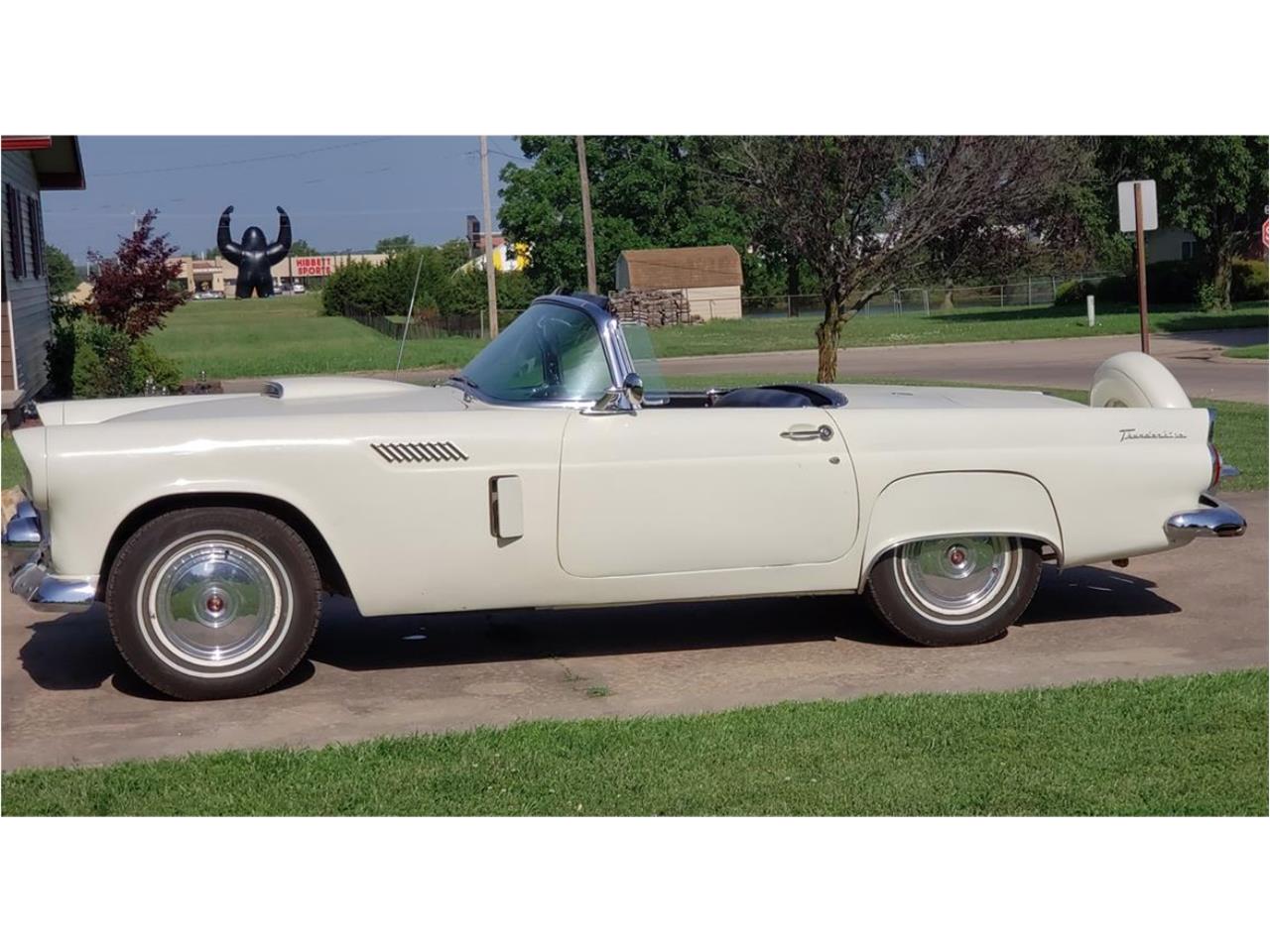 1956 ford thunderbird