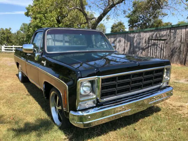 1979 chevrolet c10 big 10 silverado