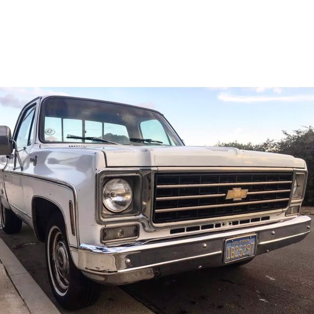 1976 c10 survivor squarbody truck