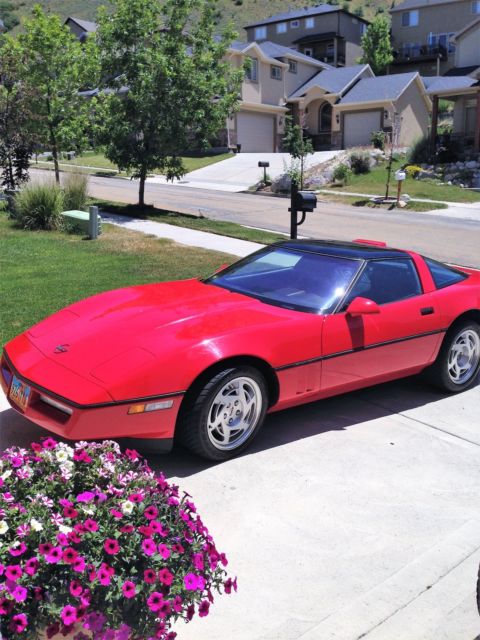 1990 corvette zr1 - king of the hill