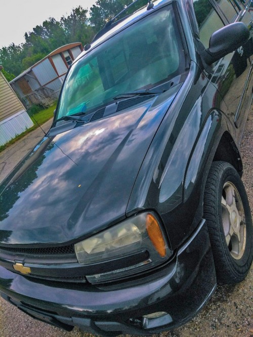 2005 chevrolet trailblazer for sale in michigan by owner