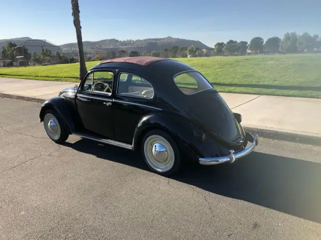 1959 classic volkswagen beetle rag-top