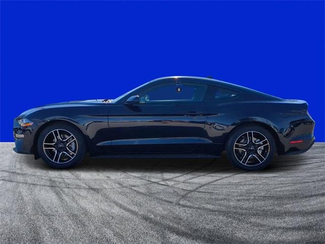 2022 ford mustang ecoboost