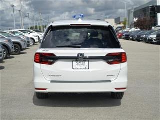2024 Honda Odyssey (North America) s