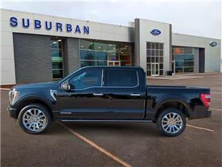 2023 Ford F-150 limited