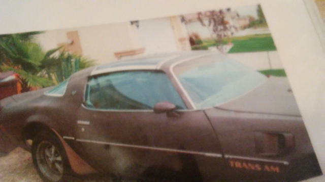 1977 with hard to find rare t-top trans am
