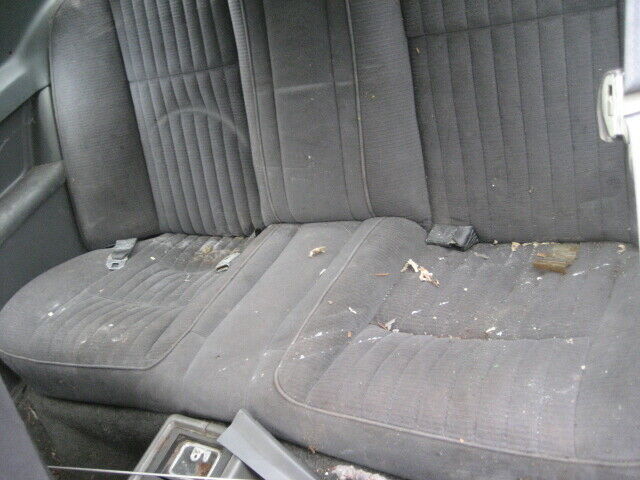 1984 ford thunderbird no reserve