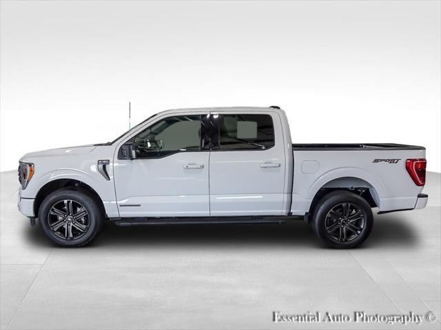 2022 ford f-150 xlt