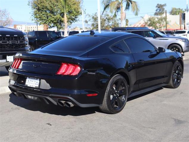 2023 ford mustang ecoboost