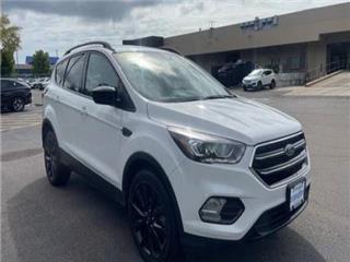 2019 Ford Escape se