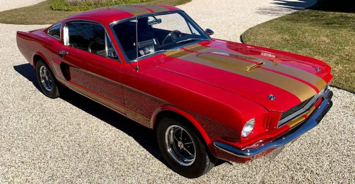 1966 shelby gt-350h