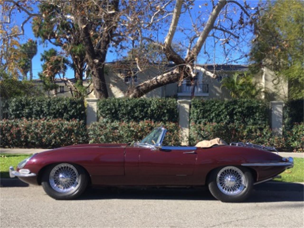 1963 jaguar xke