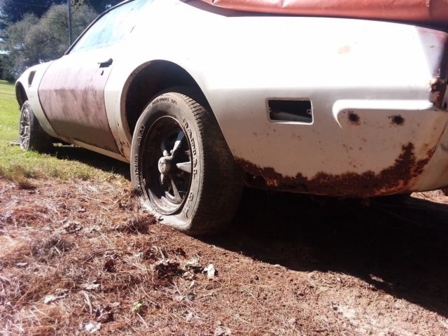 1971 pontiac firebird trans am