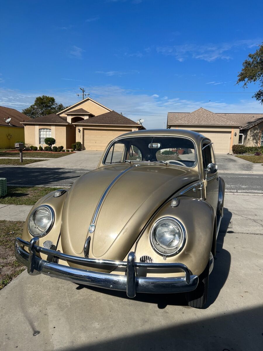 volkwagon beetle