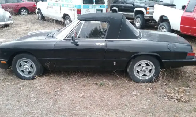 1983 alfa romeo spider gt veloce project car