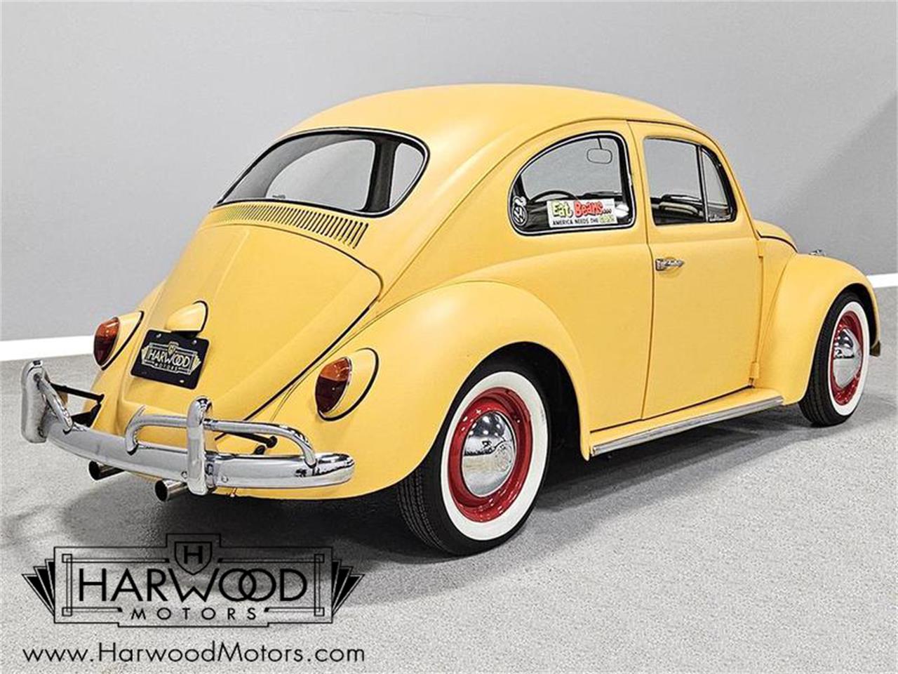 1964 volkswagen beetle