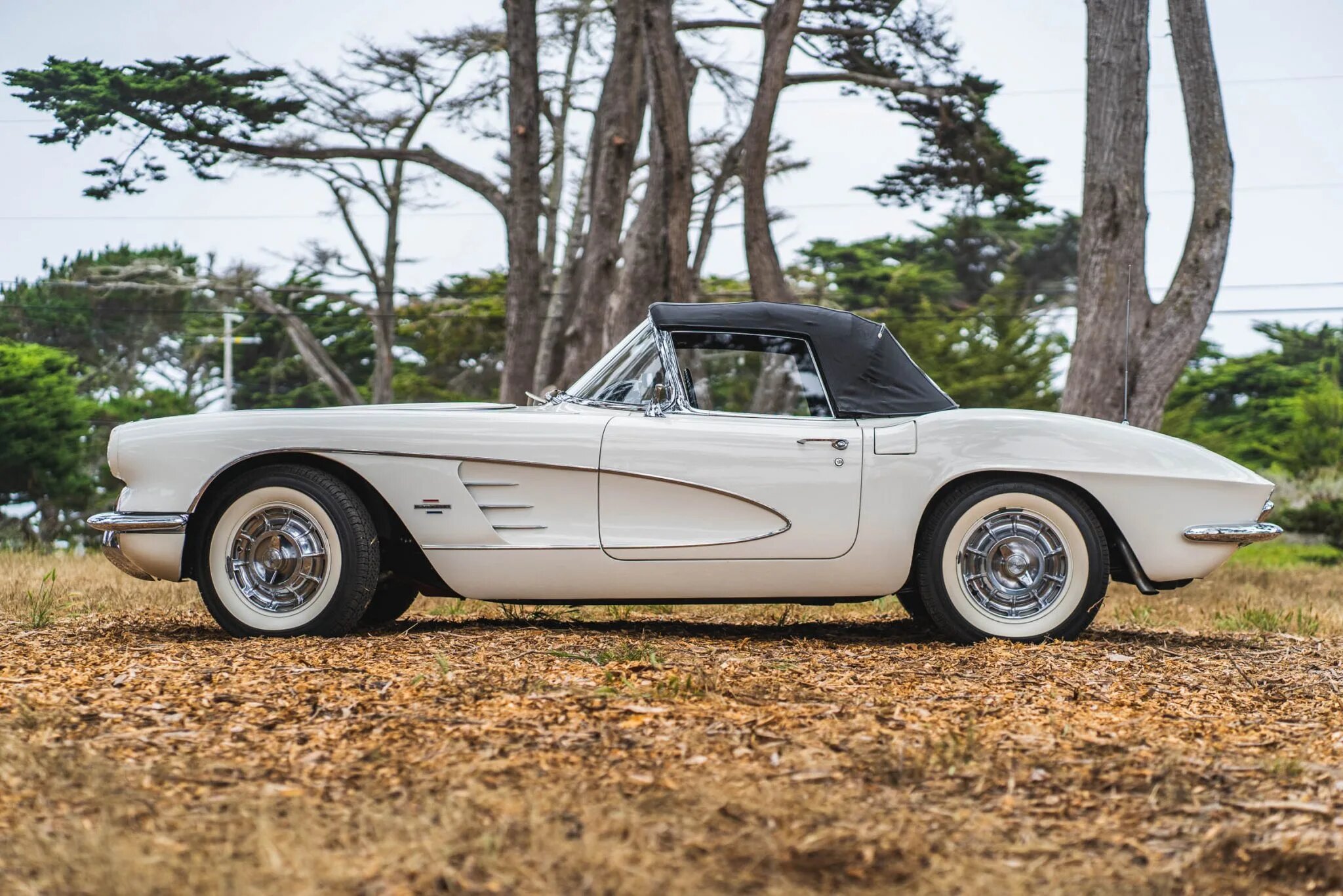 chevrolet corvette